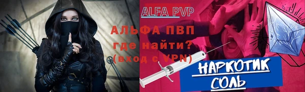 гашик Богданович