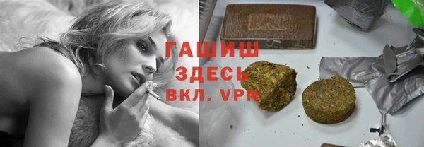 гашик Богданович