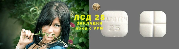 гашик Богданович