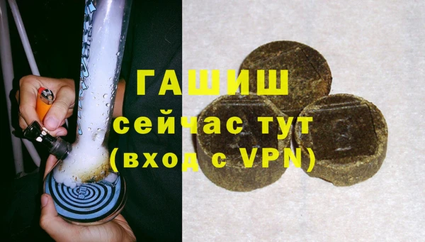 гашик Богданович