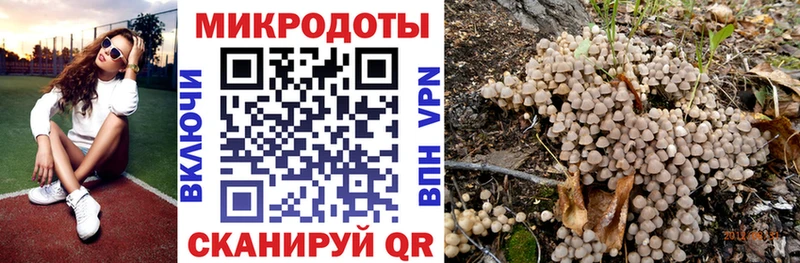 Псилоцибиновые грибы Magic Shrooms продажа наркотиков Бородино